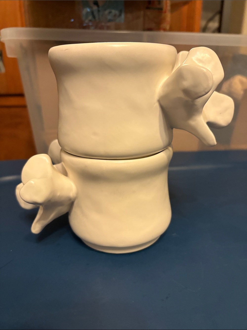 White Ceramic Vertebrae mugs